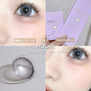 MOLAK 1day Dream Gray モラクワンデー ドリームグレー